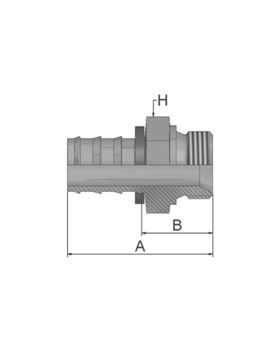 BSP